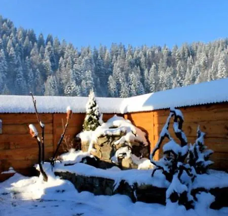 Sribni Rosy Hotel 3*