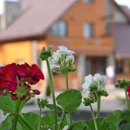 Sribni Rosy Микуличин