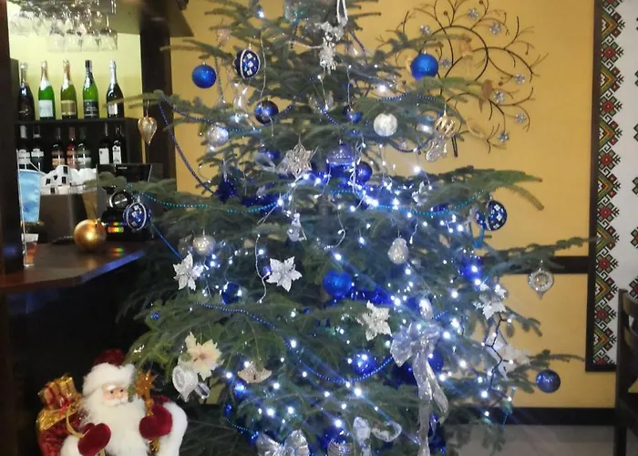 Hotel Sribni Rosy Mikuliczyn