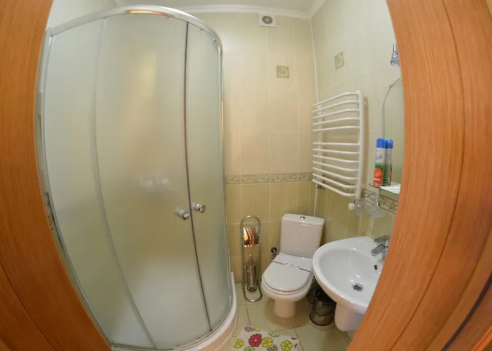 Sribni Rosy Otel Mykulychyn
