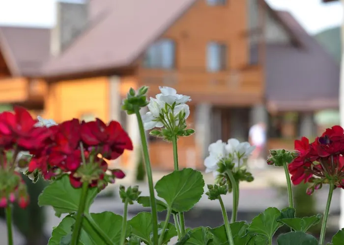Sribni Rosy Mykulychyn